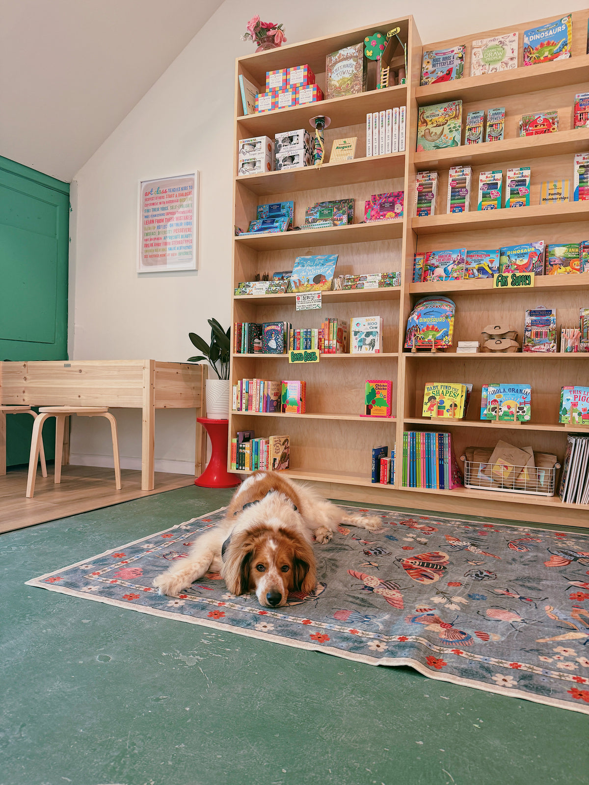 The shop dog resting on the rug between the bookshelves and the reading nook