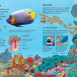 First Encyclopedia Of Seas And Oceans: Ben Denne