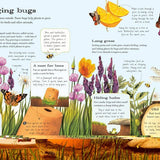 Usborne Outdoor Book