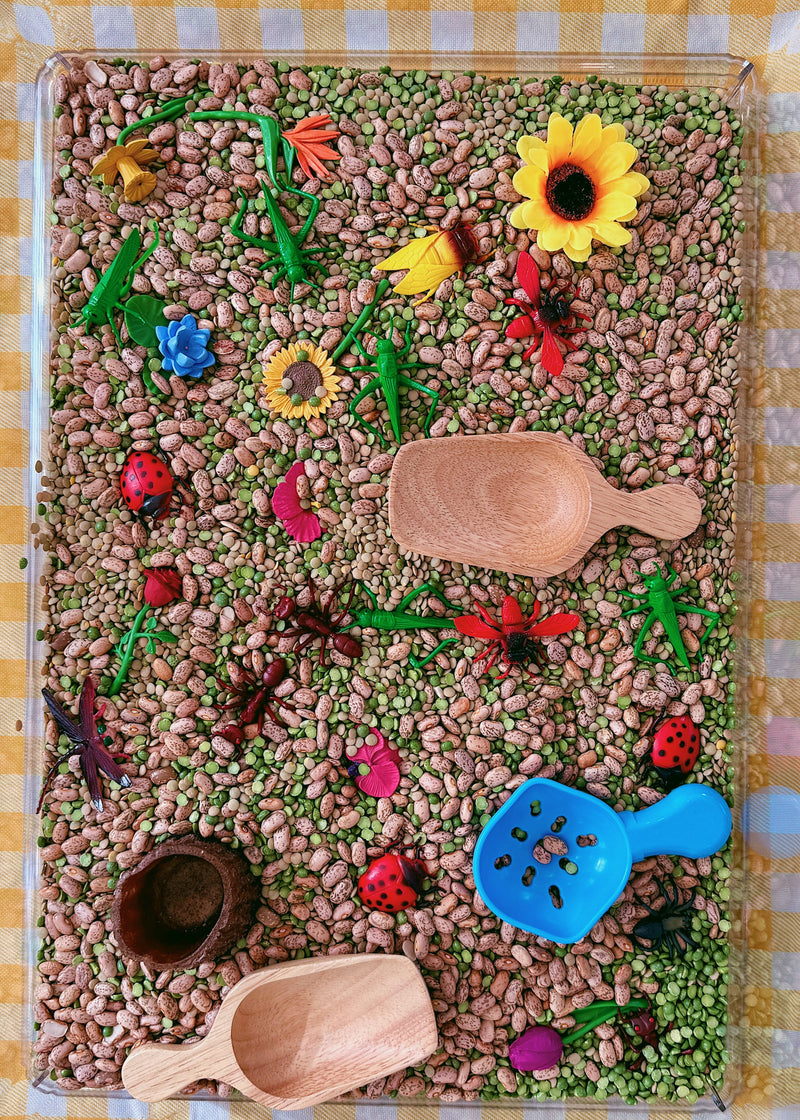 The Sensory Bin