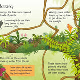 Rainforests : Usborne