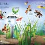 Usborne See Inside Bugs and Butterflies