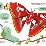Usborne Lots of Things to Know About Bugs
