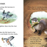 Underground Animals