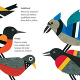 Lots of Spots by Lois   Ehlert: Board Books