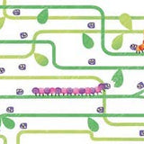 Fingerprint Activities: Bugs