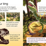 Dinosaurs : Usborne