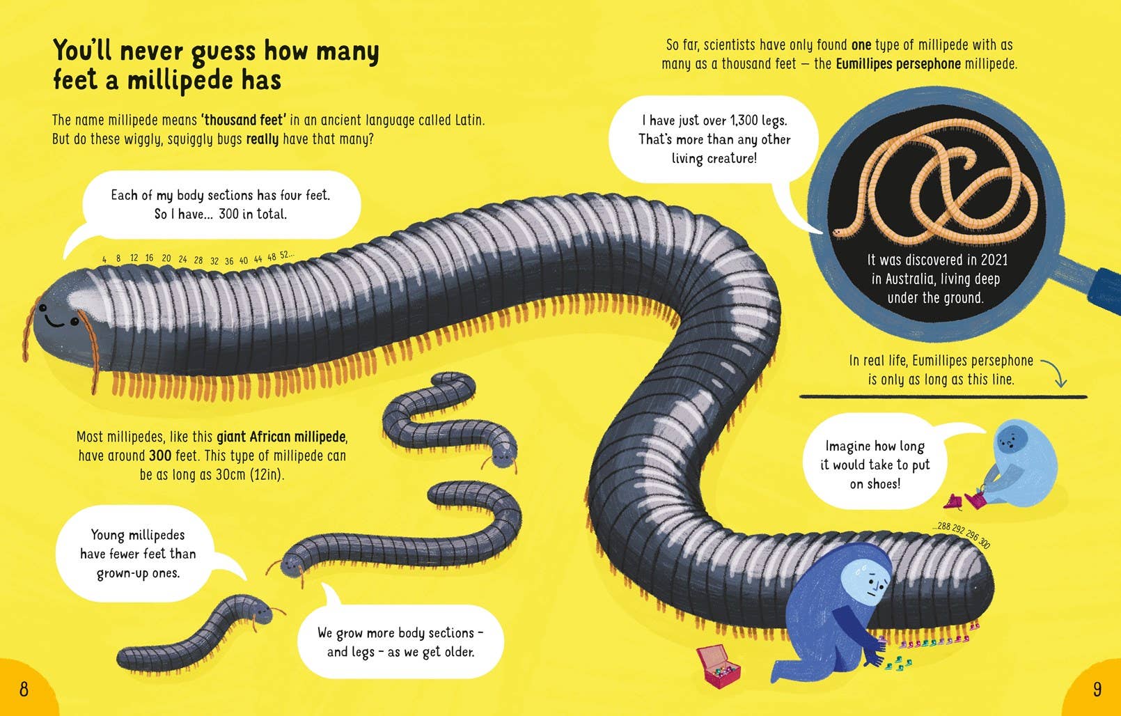 Usborne Lots of Things to Know About Bugs