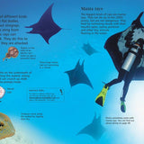 First Encyclopedia Of Seas And Oceans: Ben Denne