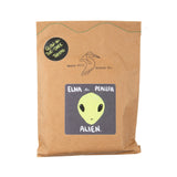 Elna the Peaceful Alien - DIY Craft Kit