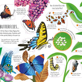 Usborne See Inside Bugs and Butterflies