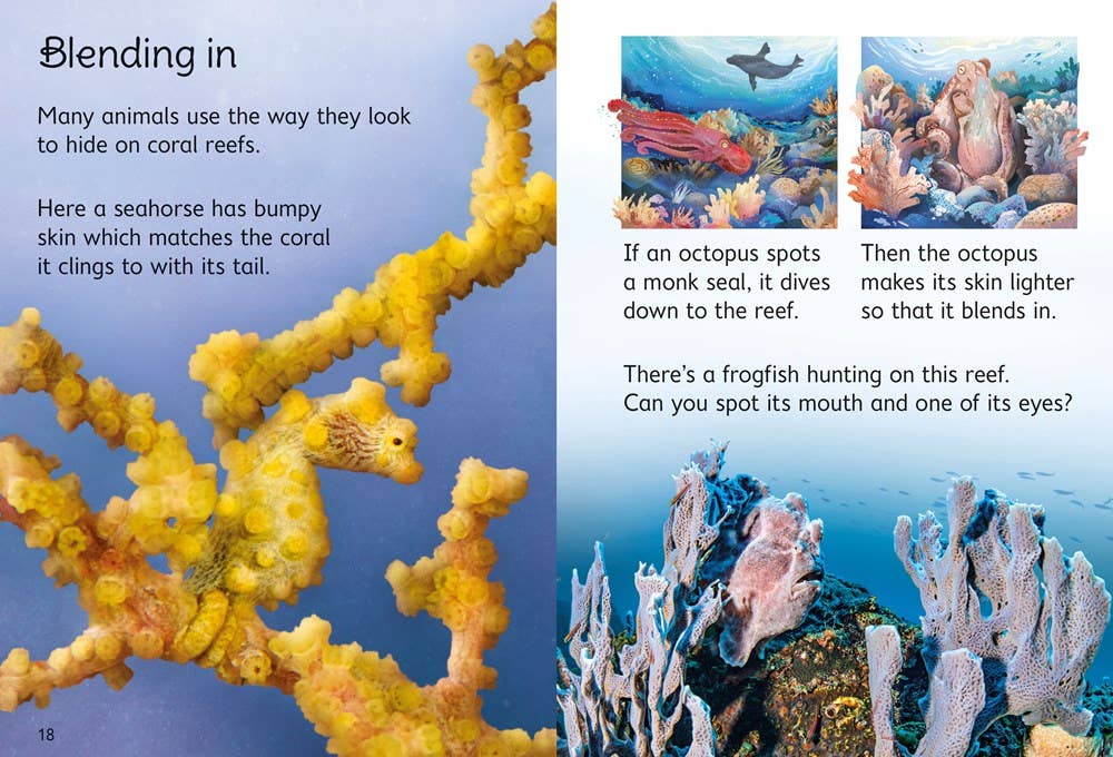Coral Reefs : Usborne