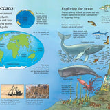 First Encyclopedia Of Our World: Felicity Brooks
