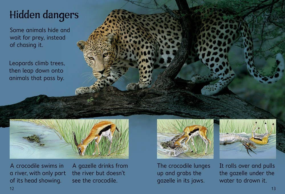 Slide image