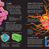 First Encyclopedia Of Science: Rachel Firth