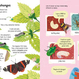 Usborne Lots of Things to Know About Bugs