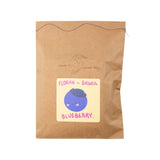 Florian the Bashful Blueberry - DIY Craft Kit