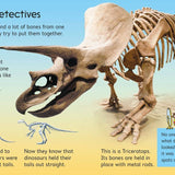 Dinosaurs : Usborne