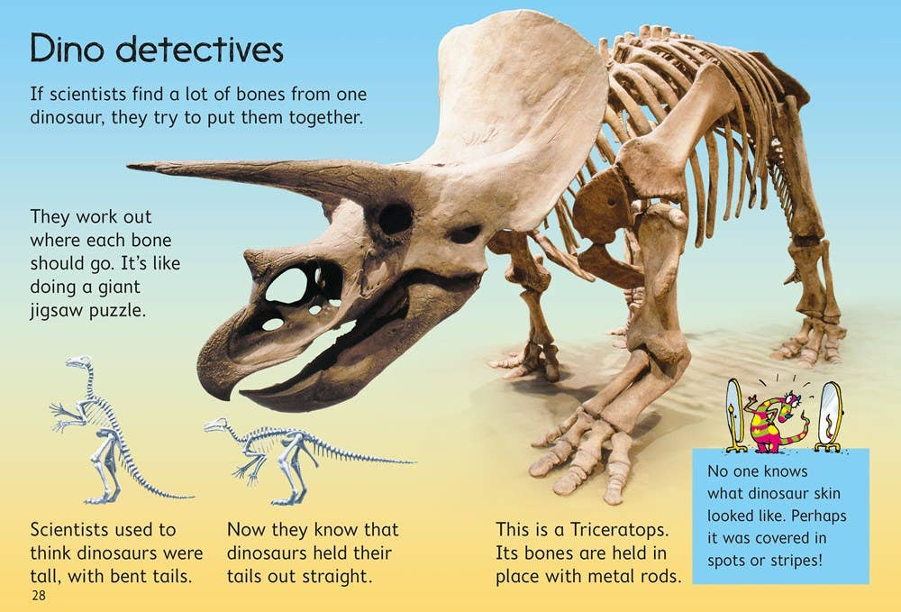 Slide image