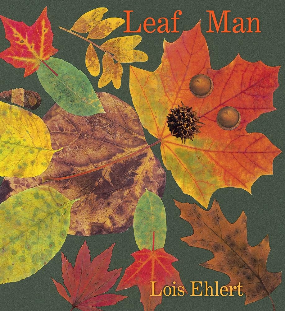 Leaf Man Board Book cover image