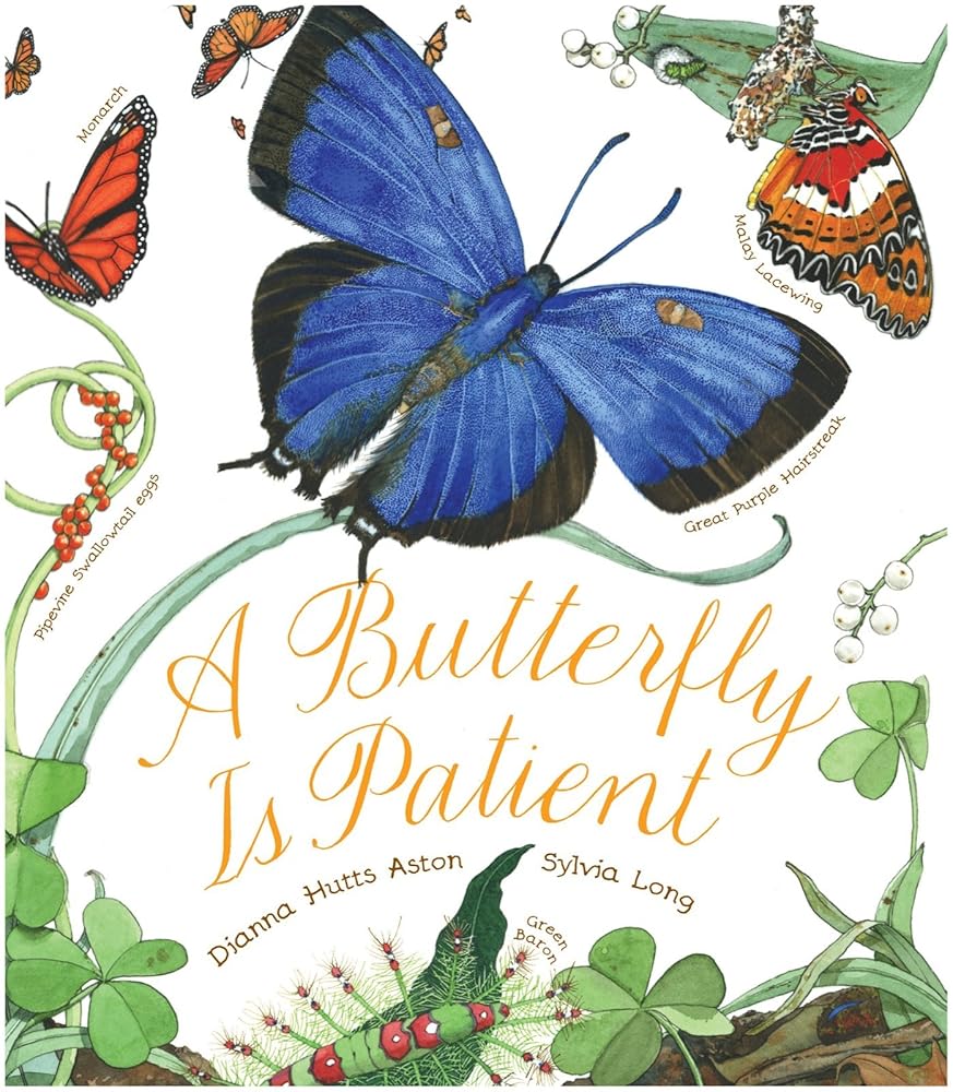 A Butterfly Is Patient (Sylvia Long) cover image