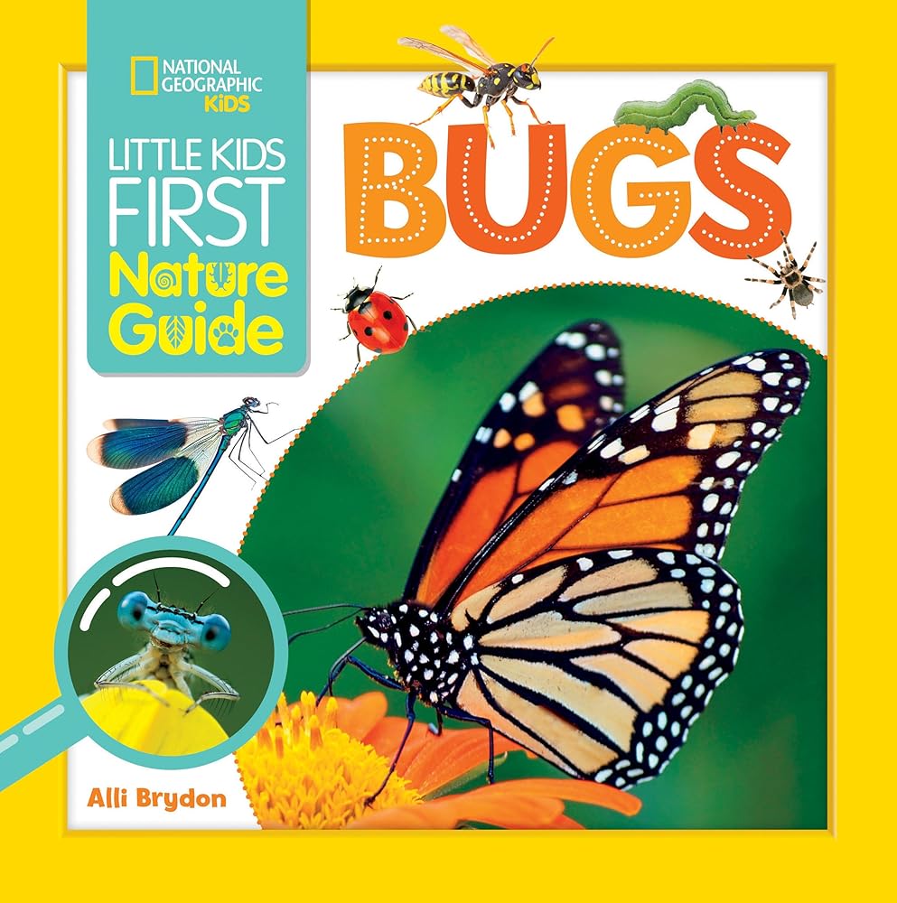 Little Kids First Nature Guide Bugs cover image