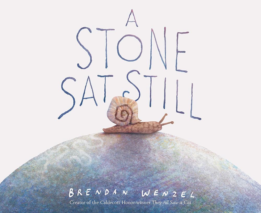 A Stone Sat Still: (Environmental and Nature Picture Book for Kids, Perspective Book for Preschool and Kindergarten, Award Winning Illustrator) (Brendan Wenzel) cover image