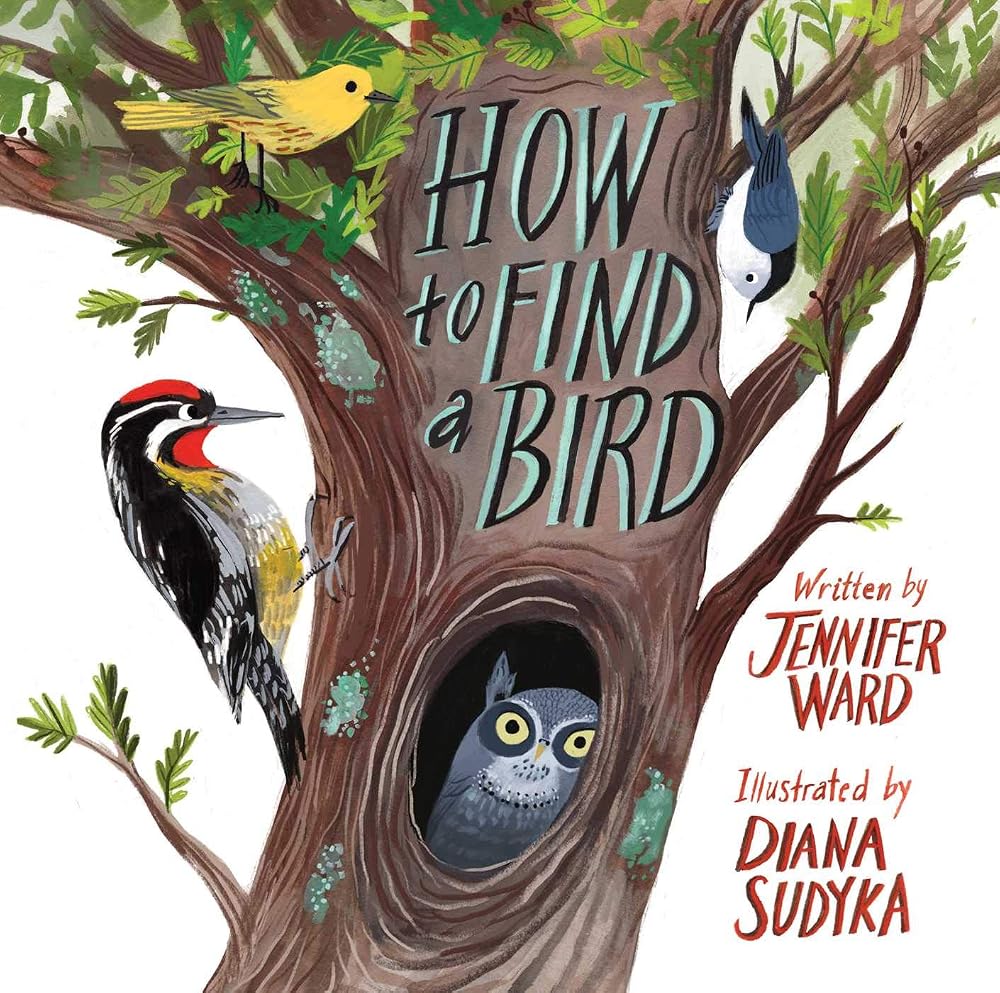 How to Find a Bird cover image