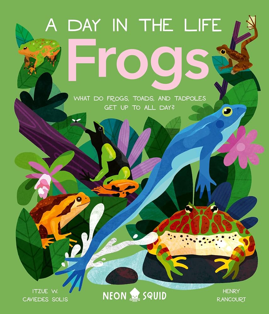 Frogs (A Day in the Life): What Do Frogs, Toads, and Tadpoles Get Up to All Day? cover image