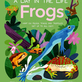 Frogs (A Day in the Life): What Do Frogs, Toads, and Tadpoles Get Up to All Day? cover image