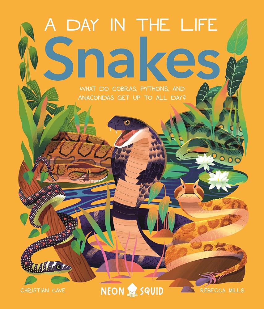 Snakes (A Day in the Life): What Do Cobras, Pythons, and Anacondas Get Up to All Day? cover image