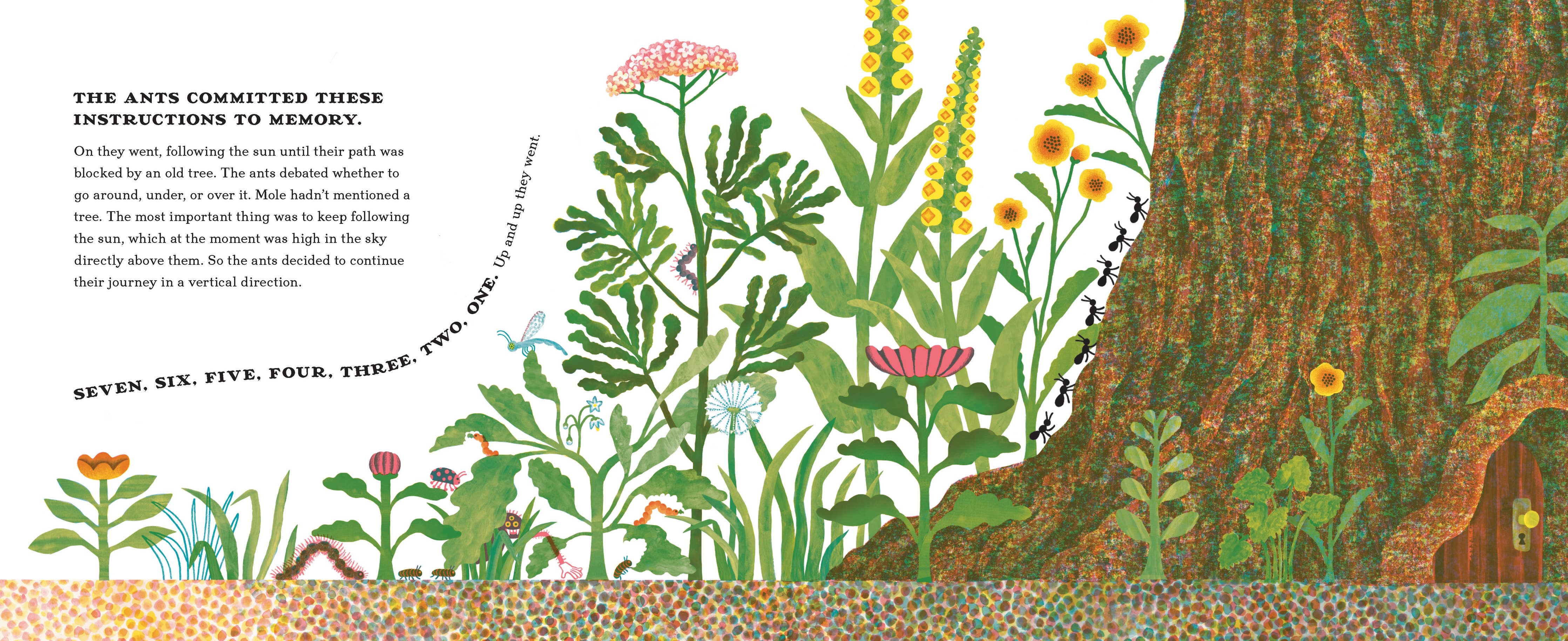 Slide image