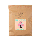 Addie the Unusual Ladybug - DIY Craft Kit