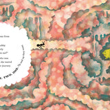 Seven Curious Ants