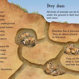 Underground Animals