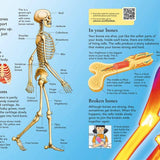 First Encyclopedia of the Human Body: Fiona Chandler