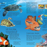 First Encyclopedia Of Seas And Oceans: Ben Denne